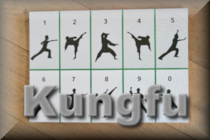 Kungfu opdrachtkaart